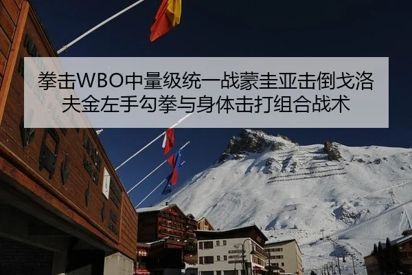拳击WBO中量级统一战蒙圭亚击倒戈洛夫金左手勾拳与身体击打组合战术