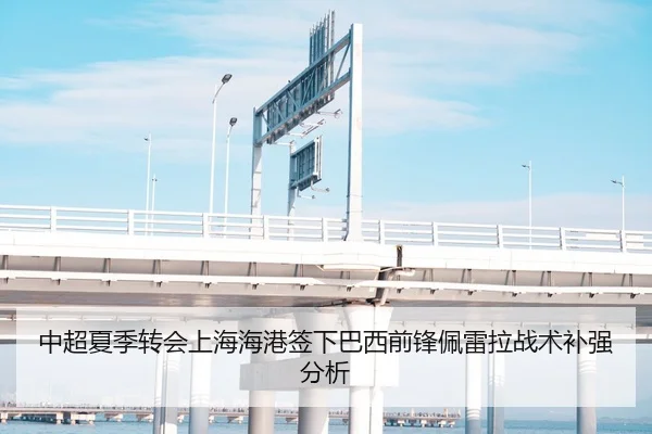 中超夏季转会上海海港签下巴西前锋佩雷拉战术补强分析